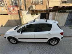 بیجۆ 307